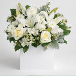 Daily Bouquet 20 Oct, 2026