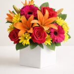 Daily Bouquet 20 Oct, 2026