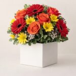 Daily Bouquet 20 Oct, 2026