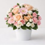 Daily Bouquet 20 Oct, 2026