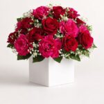 Daily Bouquet 20 Oct, 2026