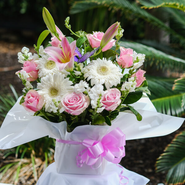 Pink & White Dream