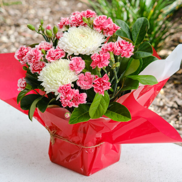 Crimson Joy Box